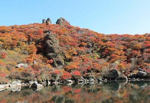 大船山の紅葉